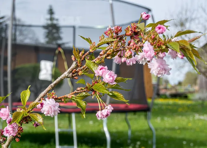 Familienapartment Vogtland Apartment Saalig