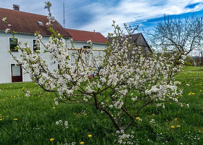 Familienapartment Vogtland Apartment Saalig