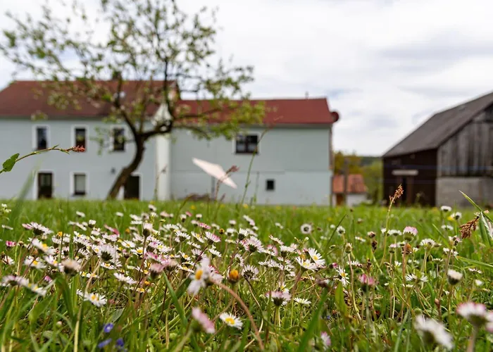 Familienapartment Vogtland * Saalig